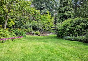Optimiser l'expérience du jardin à Villiers-au-Bouin